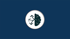 Cognitive Flexibility